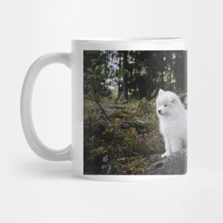 Samoyed dog puppy in the forest Mug